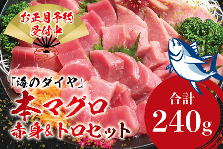 【お正月予約12月25日～29日発送】本マグロ（養殖）トロ＆赤身セット 240g 　高級 クロマグロ  中トロ 中とろ まぐろ マグロ 鮪 刺身 赤身 柵 じゃばらまぐろ 本マグロ 本鮪【nks113B-sg】