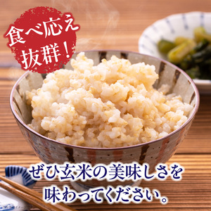 生駒高山育ちの　ヒノヒカリ玄米5kg(生産者　上武猛)　令和7年産新米　奈良県生駒高山育ち 生産者 上武猛 おいしい お米 米 こだわり ライス 安全 健康 栄養 ご飯 おにぎり 人気 おすすめ お取