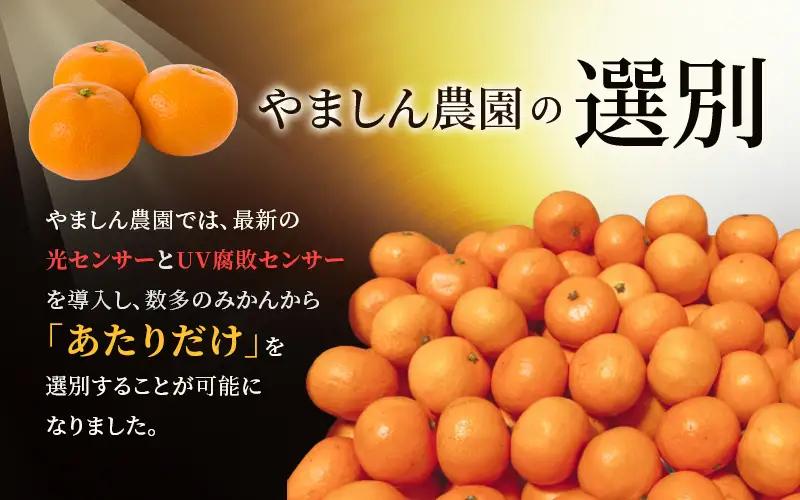 ＼光センサー選別／極 有田みかんプレミアム 約3.5kg【光センサー 高糖度選別品】2S～Lサイズ 有機質肥料100% ※2026年11月～2027年1月に順次発送予定 ※北海道・沖縄・離島への配送不