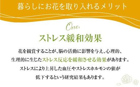  お花の デザインアレンジメント ・ カゴ付き アレンジメント 季節の花  生花 花 TR3350