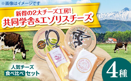 チーズ4種 食べ比べセット チーズ BNAO004