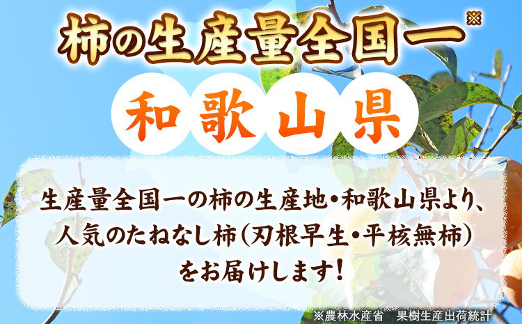 【秋の味覚】【先行予約】和歌山産のたねなし柿ご家庭用約7.5kg《2026年9月上旬-11月中旬頃出荷》かき種なし---wsh_gsk163_9j11c_25_16000_75---st-p