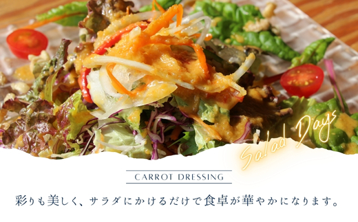 まじめな人参ドレッシング 2本セット サラダ 蒸し野菜 にんじん 玉ねぎ ソンリーサ オリジナル こだわりの逸品 地域特産品 ギフト 自分用 人気 おすすめ