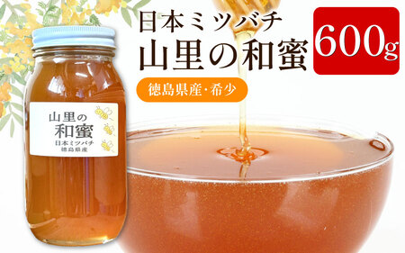 日本みつばち 蜂蜜600g はちみつ 山里の和蜜【蜂蜜】