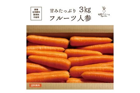 《先行予約》都内マルシェで人気のお野菜！甘みたっぷりフルーツにんじん 3kg F21R-195