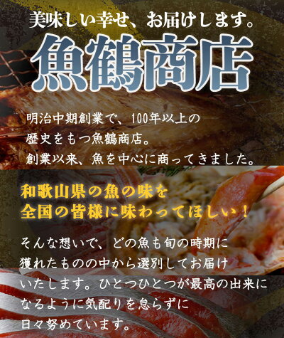 G7004_大型サイズ ふっくら柔らか 国産うなぎ 蒲焼き 容量 発送時期 土用の丑の日 お取り寄せ お取り寄せグルメ 