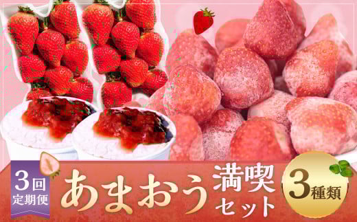 【予約受付・3回定期便】あまおう満喫セット あまおう いちご イチゴ 苺 果物 くだもの フルーツ シャーベット アイス【2026年3月上旬～8月発送予定】