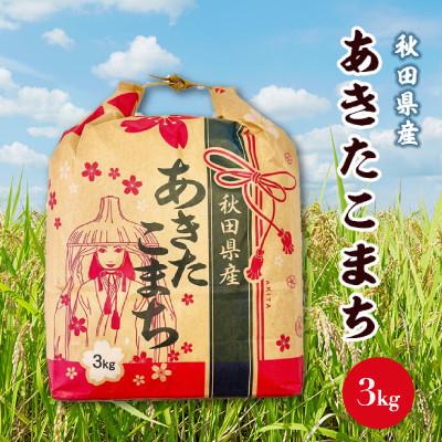 ふるさと納税 八郎潟町 【毎月定期便】あきたこまち 3kg×1袋【白米】 秋田県産全4回