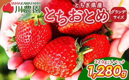 【訳あり】とちおとめ 320g×4パック 約1.2kg グランデサイズ｜果物 フルーツ イチゴ 苺 グランデ 産地直送 大粒 甘い 数量限定 栃木県 壬生町 ※2027年1月～発送