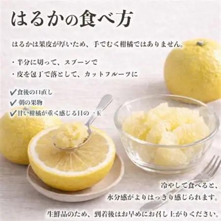 【先行予約】 熊本県産 やさしい甘さと爽やかな味わいのみかん! 訳あり はるか 約4kg(益城町)【1723661】