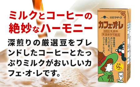 常温保存可能 らくのうマザーズ 詰め合わせ セット カフェ・オ・レ ＆ ミルクバニラ 200ml×12本ずつ 計24本 合同会社たべたせいか《30日以内に出荷予定(土日祝除く)》熊本県 菊池市 カフェ