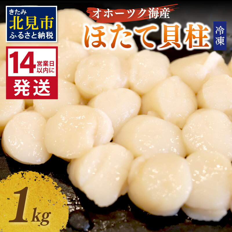 【ふるさと納税】《14営業日以内に発送》北海道 オホーツク海産 ほたて 貝柱 冷凍 1kg 生食用