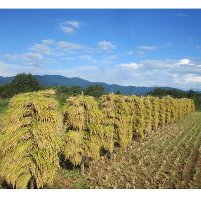 ふるさと納税 新庄市 【毎月定期便】米の匠みのりガーデン/最高金賞・世界最高米・金賞受賞米【最高峰ブレンド】5kg全12回 |  | 02