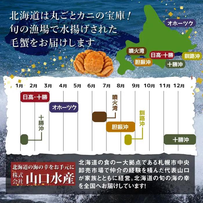 【訳あり品】【北海道産】『冷凍』毛ガニ450g前後×2杯【52000402】