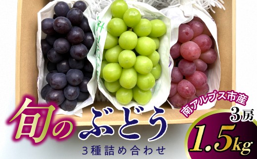 ＜2026年発送★先行予約＞南アルプス市産　ぶどう詰め合わせ3種　1.5㎏（3房） ALPGG001