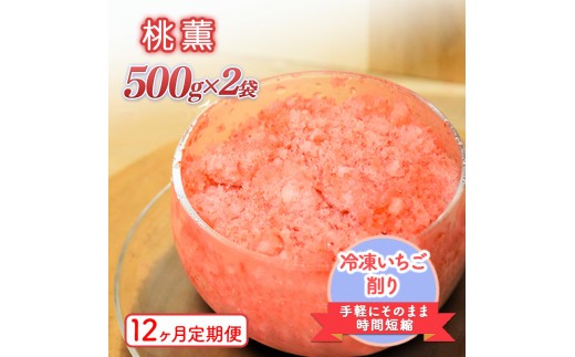 削りいちこ゛桃薫500g×2袋 12ヶ月定期便 冷凍 イチゴ 苺 果物 フルーツ 新潟 苺の花ことば