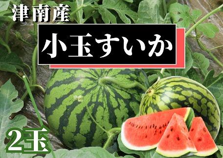 【新潟県 魚沼 津南町産】小玉スイカ 2玉
