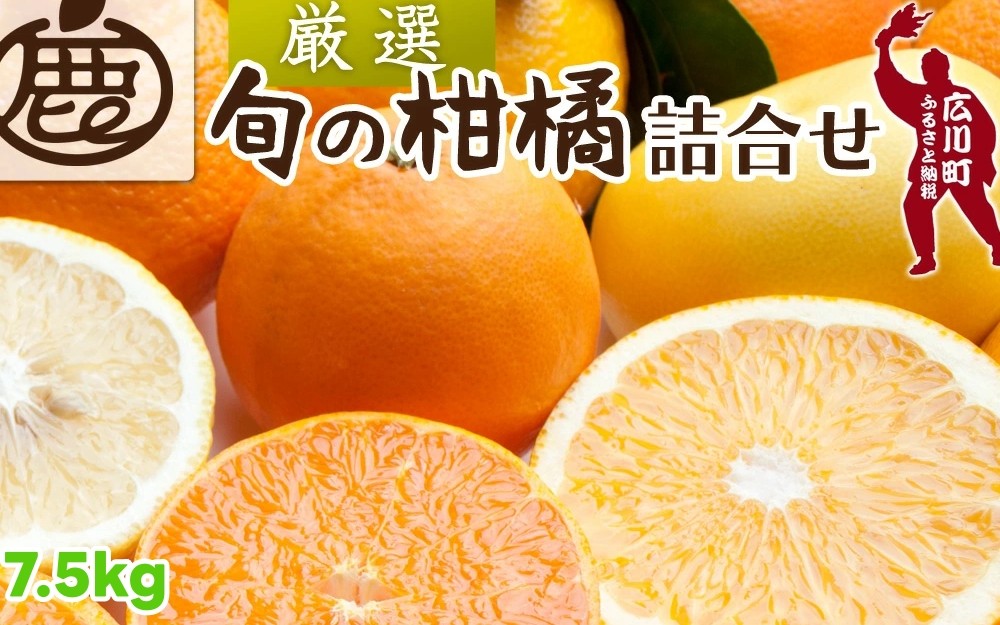 
            柑橘 詰合せ 7.5kg+250g（痛み補償分） 厳選 光センサー / 高級 みかん 不知火 清見 八朔 伊予間 セミノール レモン ３種類以上 詰め合わせ 晩柑 ※1月上旬～6月上旬頃に順次発送 ※北海道・沖縄・離島への配送不可 【ikd049-p-7d5A】
          