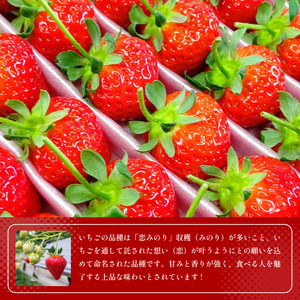 いちご400g 恋みのり 旬 果物【いちご】
