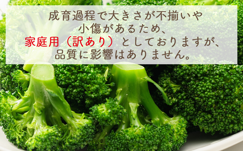 【2025年11月末以降発送】ブロッコリー 1kg 家庭用 - 国産 野菜 緑黄色野菜 青果 サラダ グラタン ご家庭用 不揃い 傷 やすらぎ市 高知県 香南市 冷蔵 yr-0086