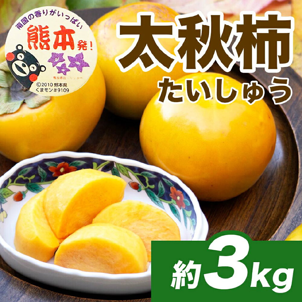 【ふるさと納税】＜選べる内容量＞ 太秋柿 約3kg（8～15玉） / 約6kg（16～30玉） 柿 かき カキ フルーツ くだもの 果物 果実 デザート 冷蔵 熊本県産 国産 九州 熊本県 送料無料 【2026年10月上旬から11月上旬発送予定】