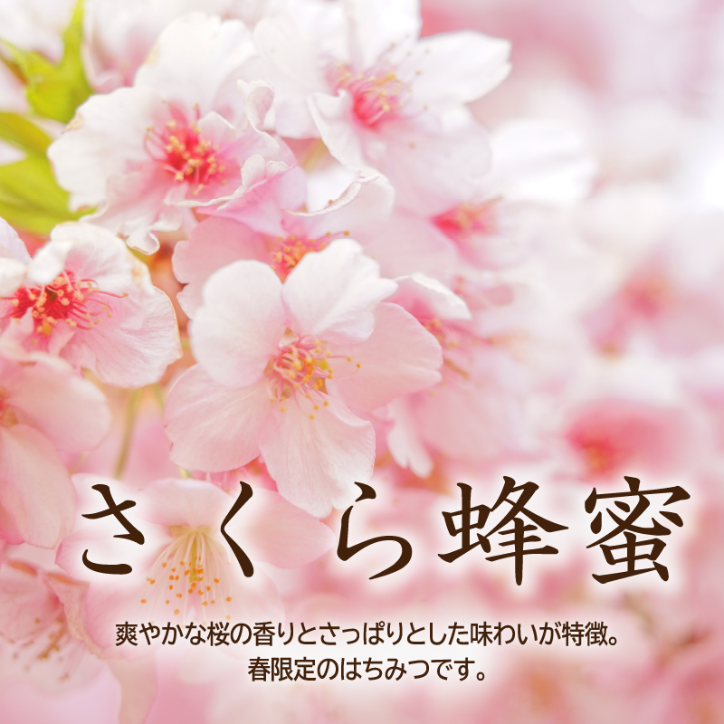 Honey farm Mel『国産純粋はちみつ』200g×3種　食べ比べセット 【0086-005】_イメージ5