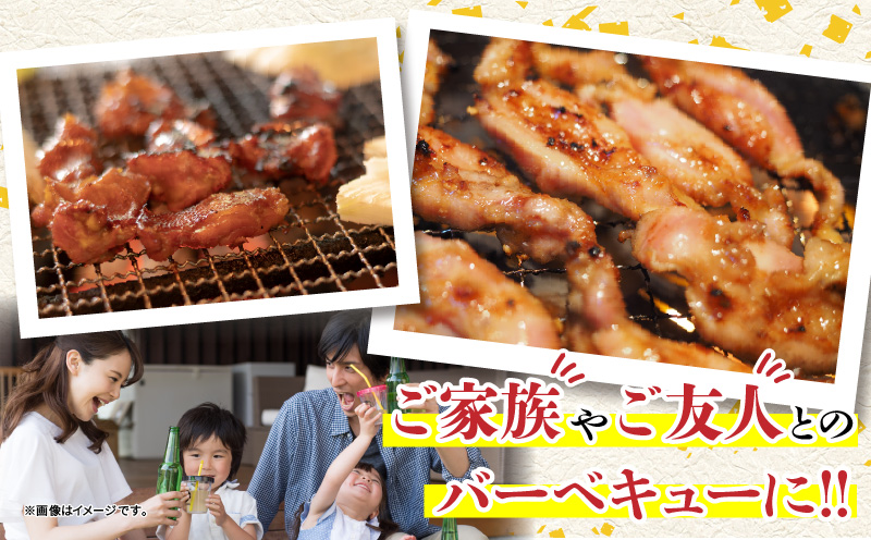 【ANA限定】若鶏 焼肉 セット 合計4.2kg 鶏肉 国産 チキン 鶏もも肉 切身 肝 砂肝 小肉 手羽中 チキンリブ 肩肉 人気 小分け 便利 おかず お弁当 おつまみ 食品 真空パック BBQ 