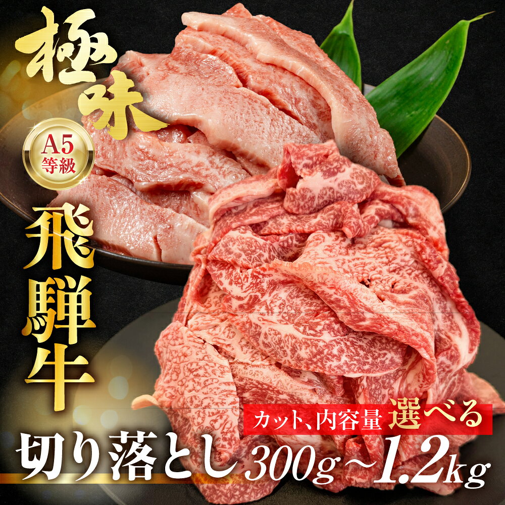 【ふるさと納税】飛騨牛 A5等級 切り落とし 小間切れ こまぎれ 300g 500g 900g カルビ 切り落とし 400g 800g 1.2kg 選べる| 訳あり 簡易包装 小間切れ 切落し A5 5等級 肉 黒毛和牛 ブランド牛 冷凍 人気 国産 お取り寄せ 冷凍 飛騨高山 ながせ食品 【90周年】FH001MP