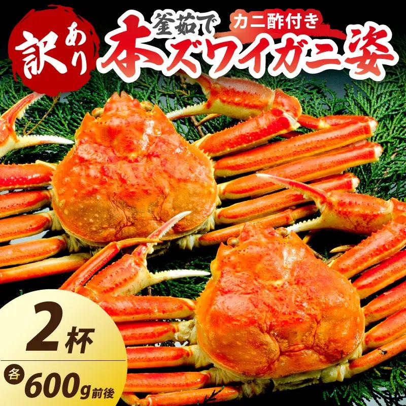 【大好評！カニ酢付き】訳あり！釜茹で！本ずわいがに姿 600g×2杯 カニ