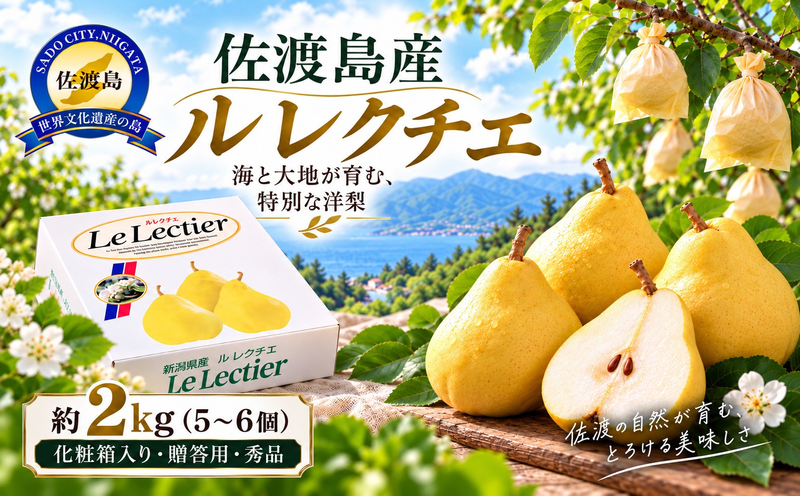 
                  【2026年12月上旬より順次発送】佐渡島産 ル レクチエ 約2kg（5～6個）化粧箱入り・贈答用・秀品 | 新潟県産洋梨 新潟産ルレクチェ 佐渡産ル・レクチェ ルレクチェ ル レクチェ るれくちぇ 洋梨 洋なし 西洋梨 梨 なし フルーツ 果物 くだもの ギフト 贈答 秀品 2キロ にいがた さど 新潟県 佐渡市 ル・レクチエ ルレクチェ ル レクチエ るれくちぇ ル・レクチエ ルレクチェ ル
                