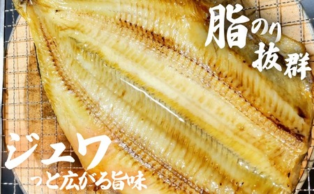 【ほっけ】 ほっけ開き 特大サイズ 3枚
