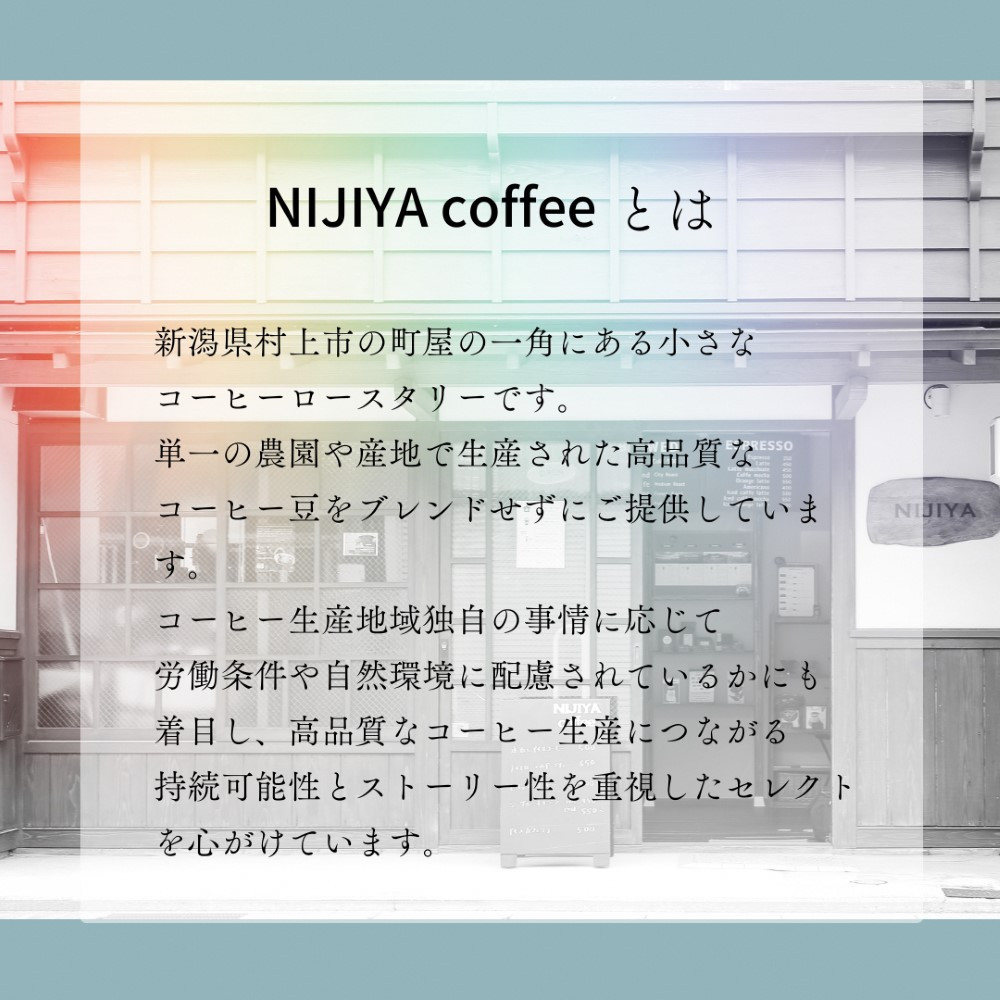 【定期便：6ヶ月連続でお届け】シングルオリジンコーヒー 100g × 3品種（中挽き）計300g×6ヶ月