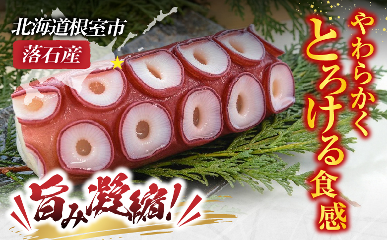 【北海道根室産】ボイル水たこ足ブロック3P(計1.5kg) B-20007