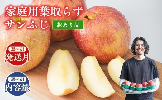 
                  ≪発送月と内容量が選べる≫ 青森県産訳あり 家庭用葉取らずサンふじりんご 【 青森県 平川市 森山商店 】 糖度 13度以上 青森県産 青森りんご 林檎 リンゴ りんご サンふじ ふじ 葉取らずサンふじ 光センサー 選果 レビューキャンペーン
                