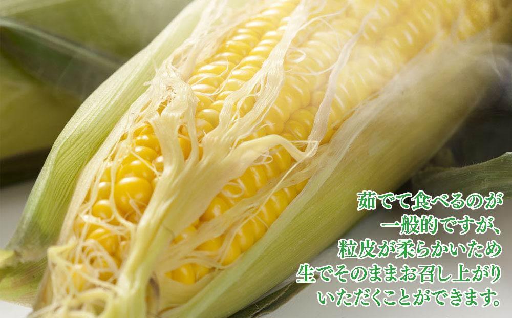 【先行予約】旭川近郊産　黄色いとうもろこし（ゴールドラッシュ）3.5kg（10本） _04842