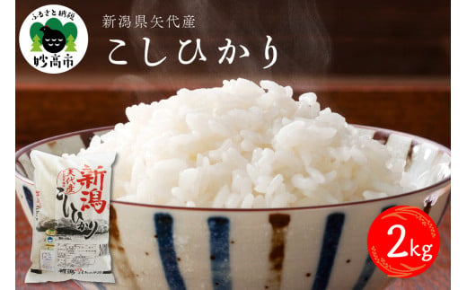  【2025年6月中旬発送】令和6年産 新潟県矢代産コシヒカリ2kg