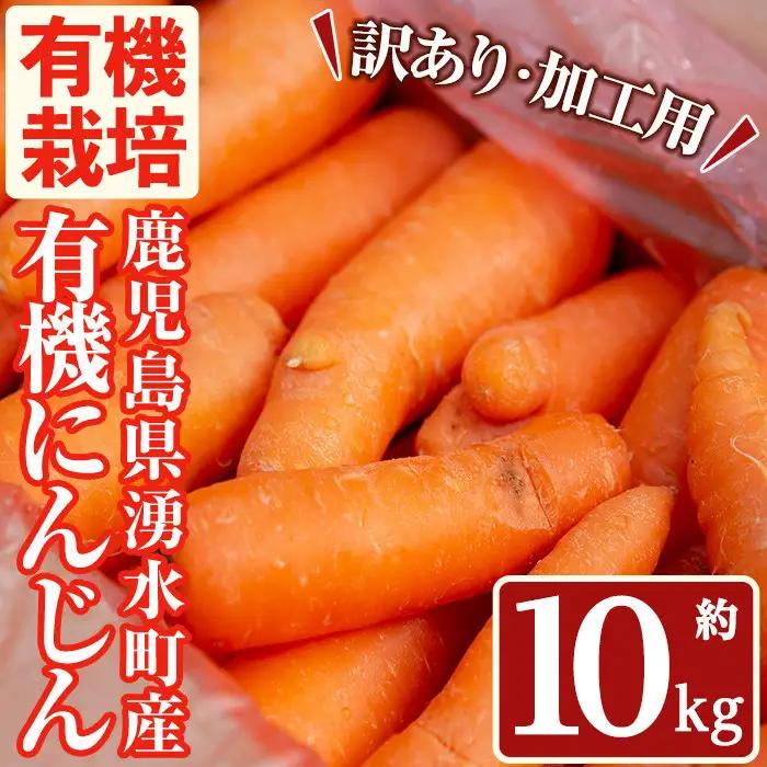 湧水町産有機にんじん10kg (訳あり) にんじん_y161