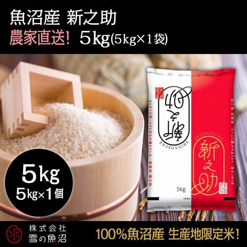 【ふるさと納税】令和8年産！魚沼産 新之助【農家直送!】5kg×1袋 お米 米 コメ　お届け：10月以降より準備でき次第、順次発送いたします