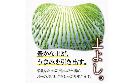 【令和7年産】10kg 無洗米 最短7営業日程度発送 ブランド米 こめ コメ お米 おこめ ライス 精米 人気 おすすめ 岩手県 盛岡市 岩手産 岩手県産 岩手 盛岡 北日本製袋 knsR7_M004