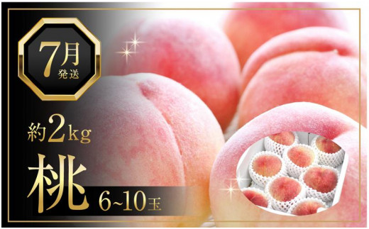 先行予約 白桃 桃 もも 約2kg 6-10玉入り | 香川県産 果物 くだもの フルーツ ジューシーな果汁と果肉が自慢