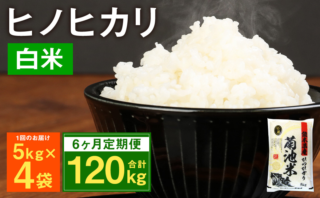 
            【6ヶ月定期便】熊本県菊池産 ヒノヒカリ 5kg×4袋×6回 計120kg 精米 お米 米 白米 
          