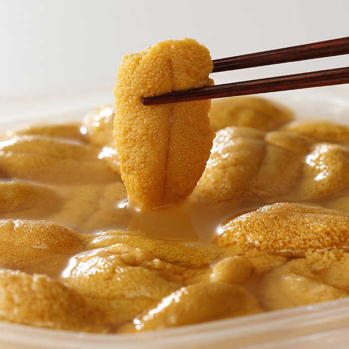 【ふるさと納税】エゾバフンウニ塩水パック 選べる 70g×1P 70〜80g×2P 100〜110g×2P うに ウニ 雲丹 バフンウニ エゾバフンうに 海鮮 北海道 根室市