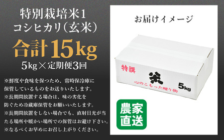 【先行予約】【令和7年産】《定期便3回》コシヒカリ 玄米 5kg （計15kg）特別栽培米 農薬不使用 化学肥料不使用 ／ 残留農薬ゼロ 高品質 鮮度抜群 福井県産 ブランド米 ※2025年10月上旬