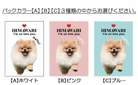 ペットの可愛いお写真をキーホルダーに♪うちの子アクリルキーホルダー（デザインA） 【B】ピンク