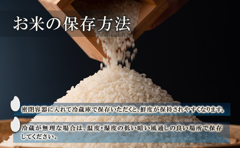 米 コシヒカリ 10kg お米 白米 精米 単一原料米 令和7年産 長野県産 長野 長野県 上田市