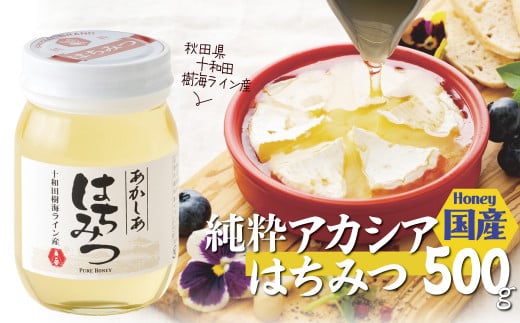 アカシア蜂蜜 500g　50P5409