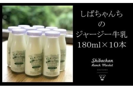 しばちゃんちのジャージー牛乳 180ml×10本　柴田牧場 6170