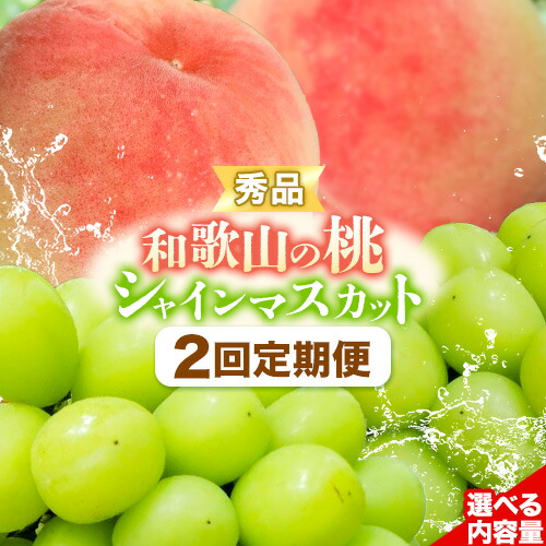 【2回定期便】【贈答用/熨斗非対応】秀品 和歌山の桃 約2kg (6玉～8玉) 大粒 シャインマスカット 約1.2kg または 1.4kg m&n果実園 《2026年6月中旬-10月下旬頃出荷》和歌山県 紀の川市 送料無料 桃 旬 果物 フルーツ【配送不可地域あり】