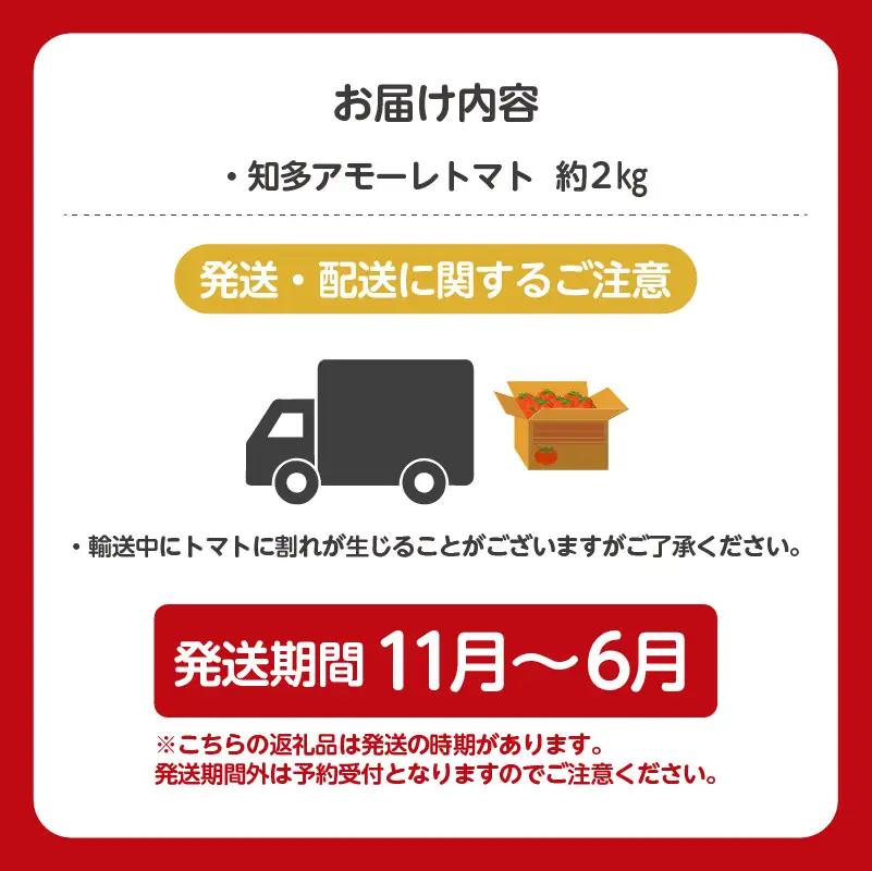 【先行予約】《11月中旬以降発送開始》有機栽培ミニトマト　知多アモーレトマト　約2kg｜トマト 野菜 知多市