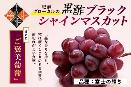 ブラックシャインマスカット 富士の輝き 1房(700g) |ふるさと納税  マスカット ぶどう 葡萄 果物 黒酢 フルーツ ふるさと くだもの スイーツ 【2026年8月下旬～9月下旬発送予定】佐賀県